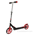 Trottinette pliable avec double amortissement